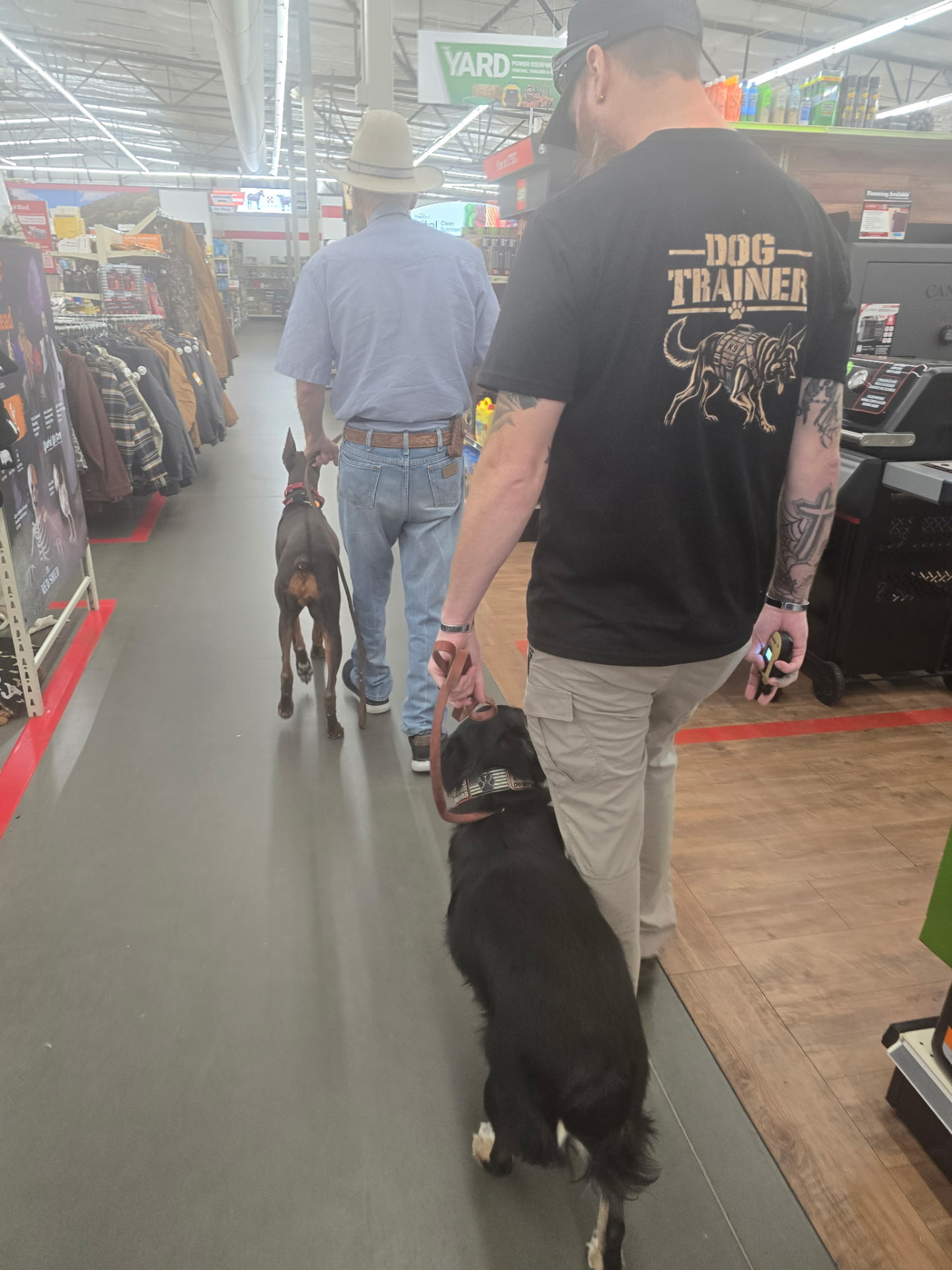 Two handlers walking dogs on leash through a store aisle during real-world training