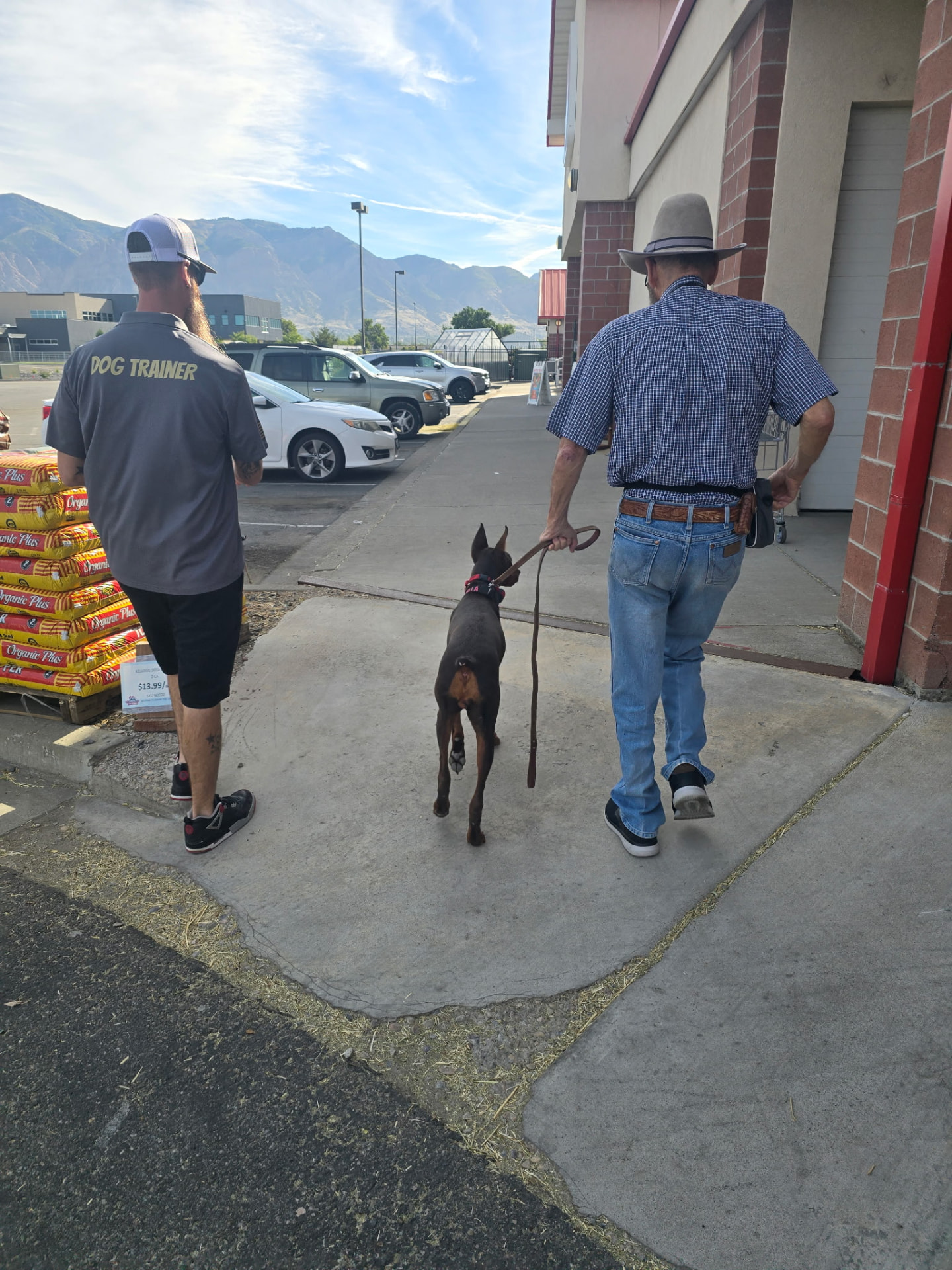 Dog trainer and owner walking a Doberman together during a training session